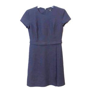 Ann Taylor Dress